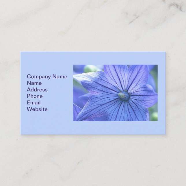 Balloon Flower Business Card (Front)