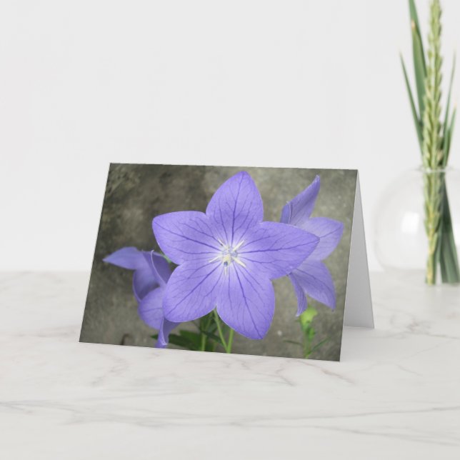 Balloon Flower Card (Front)