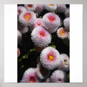 balls of pink poster
