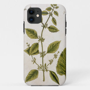 Balm, plate 27 from 'A Curious Herbal', published iPhone 11 Case