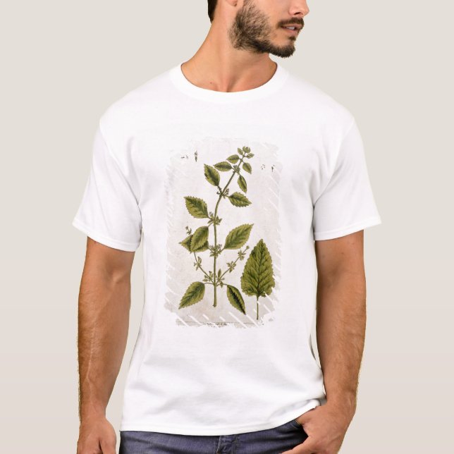 Balm, plate 27 from 'A Curious Herbal', published T-Shirt (Front)