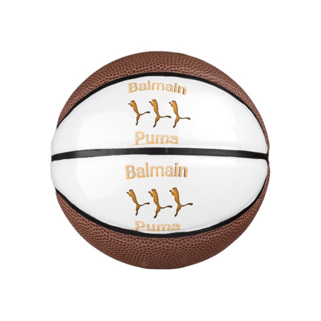 Balmain puma  mini basketball (Front)
