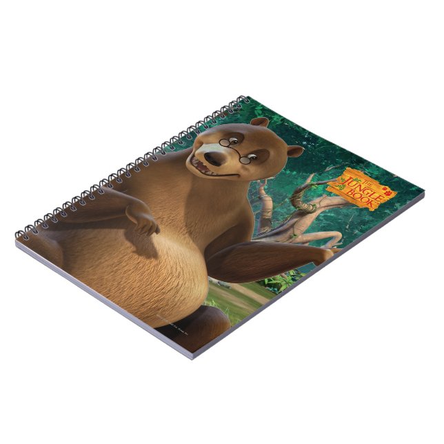 Baloo 4 notebook (Left Side)