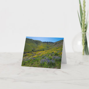Balsam and Lupine spring bloom blank Card