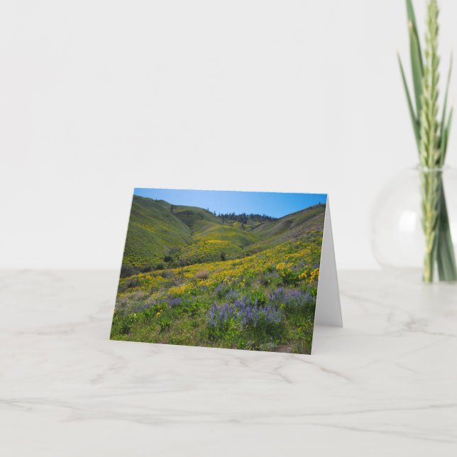 Balsam and Lupine spring bloom blank Card (Front)