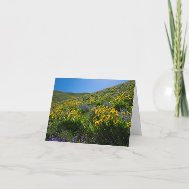 Balsam and Lupine Superbloom blank Card (Front)