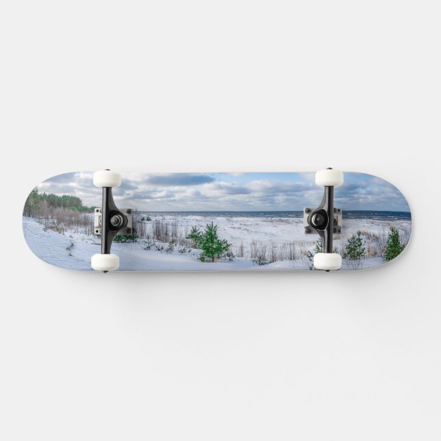 Baltic sea coast covered in snow in winter skateboard (Horz)