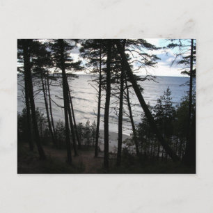 Baltic Sea Shore of Klaipeda Lithuania Postcard