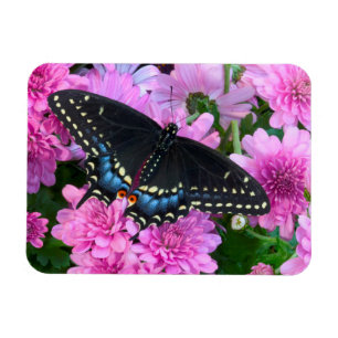 Baltimore Chequered Butterfly Magnet