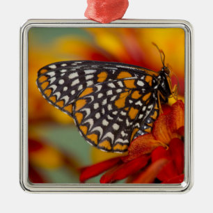Baltimore-Chequered Butterfly Metal Tree Decoration