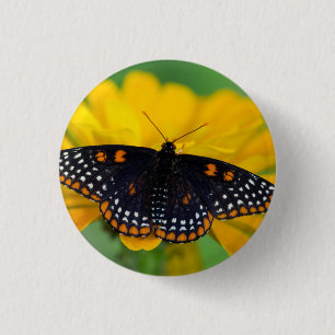 Baltimore Chequered Spot Butterfly 3 Cm Round Badge