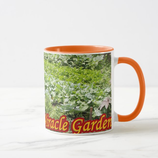 Baltimore Green Space Miracle mug (Right)