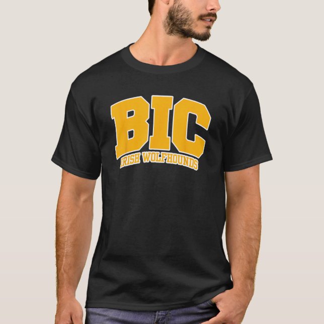 Baltimore International College Irish Wolfhounds 0 T-Shirt (Front)