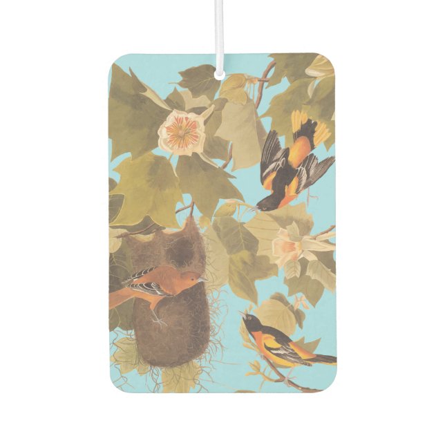Baltimore Oriole Audubon Bird Family with Nest Car Air Freshener (Front)