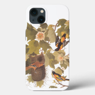 Baltimore Oriole Audubon Bird Family with Nest iPhone 13 Case