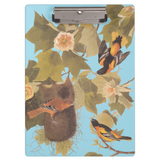 Baltimore Oriole Audubon Bird Family with Nest Clipboard