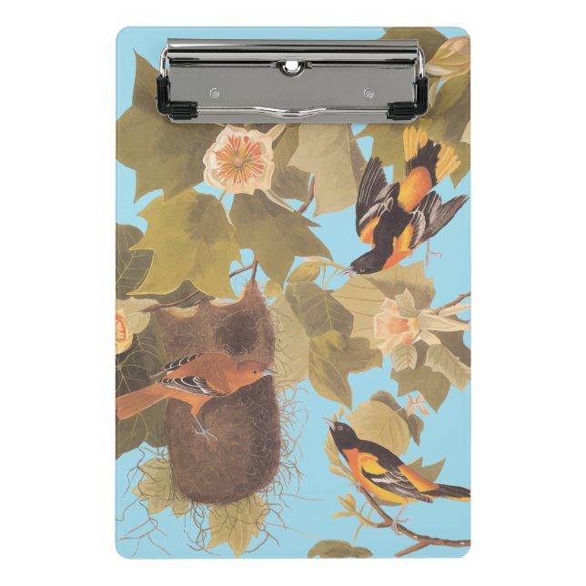 Baltimore Oriole Audubon Bird Family with Nest Mini Clipboard (Front)