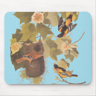 Baltimore Oriole Audubon Bird Family with Nest Mouse Mat