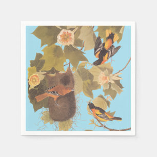 Baltimore Oriole Audubon Bird Family with Nest Napkin