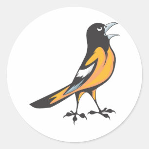 Baltimore Oriole Bird Classic Round Sticker