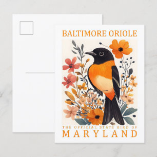 Baltimore Oriole Bird of Maryland USA Travel Postcard