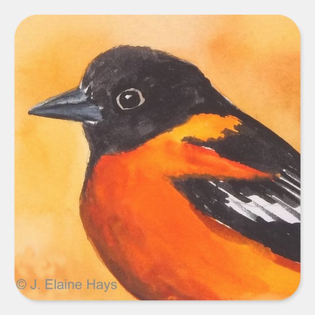 Baltimore Oriole Bird Sticker (Front)