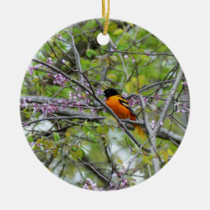 Baltimore Oriole Ceramic Tree Decoration