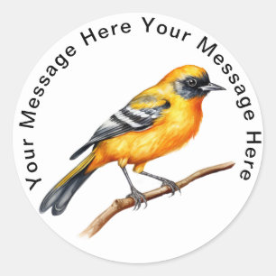 Baltimore Oriole Classic Round Sticker