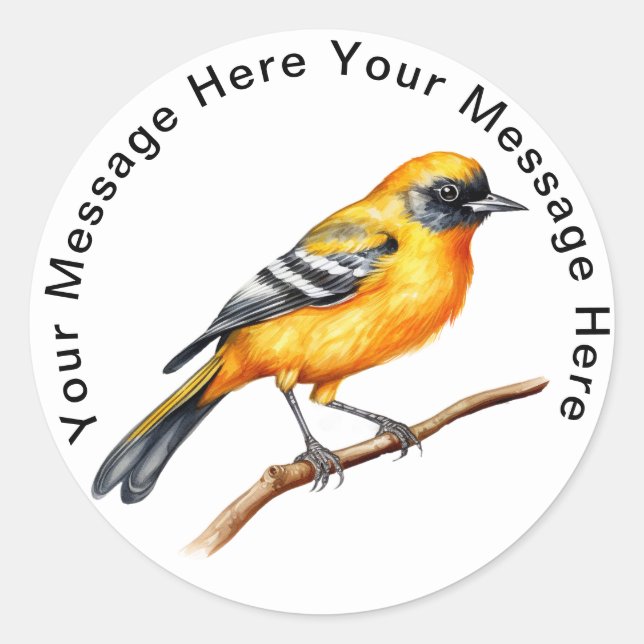 Baltimore Oriole Classic Round Sticker (Front)