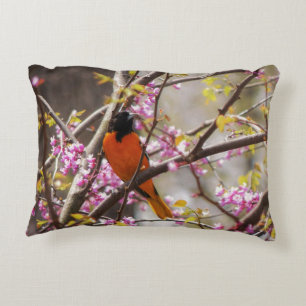 Baltimore Oriole Decorative Cushion