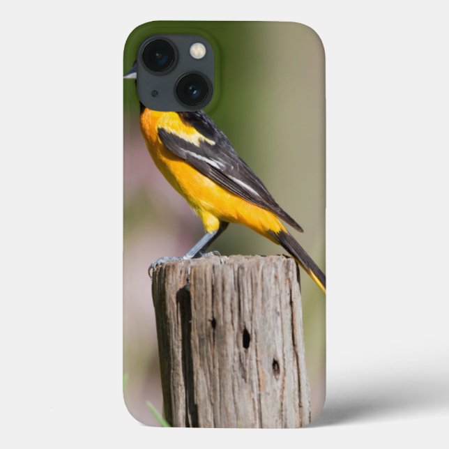 Baltimore Oriole female in flower garden Case-Mate iPhone Case (Back)