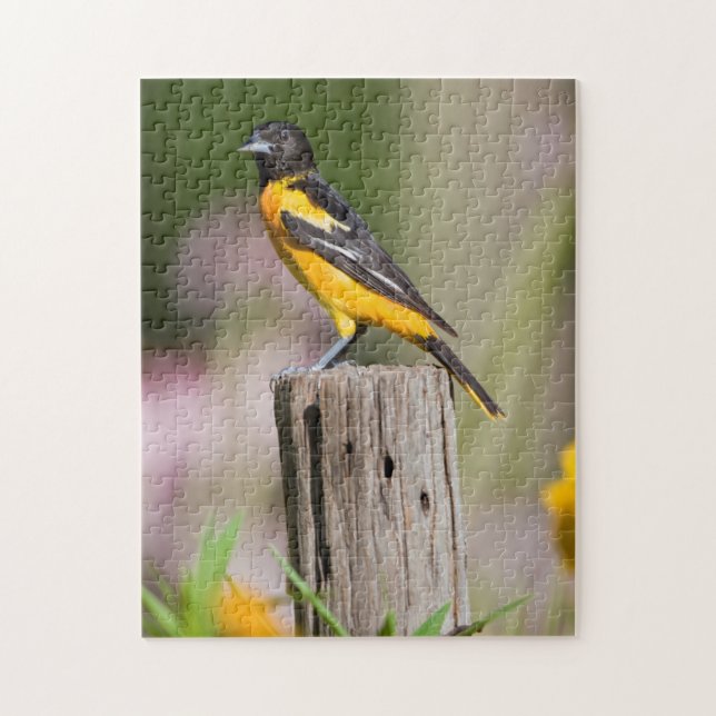 Baltimore Oriole female in flower garden Jigsaw Puzzle (Vertical)