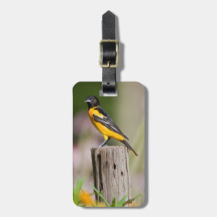 Baltimore Oriole female in flower garden Luggage Tag