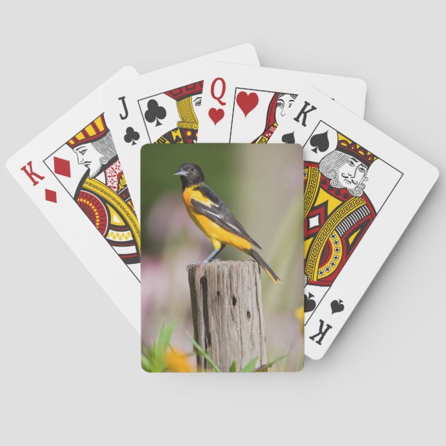 Baltimore Oriole female in flower garden Playing Cards (Back)