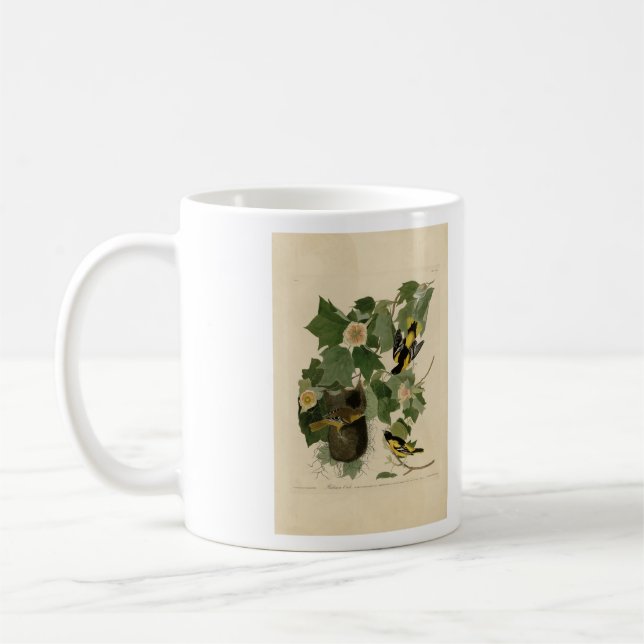 Baltimore Oriole - from Audubon's Birds of America Coffee Mug (Left)