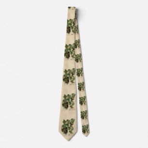 Baltimore Oriole - from Audubon's Birds of America Tie