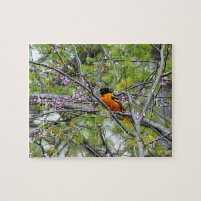 Baltimore Oriole Jigsaw Puzzle (Horizontal)