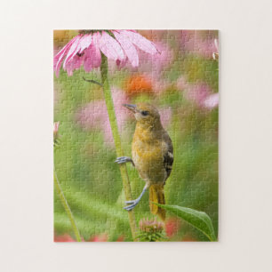 Baltimore Oriole Jigsaw Puzzle