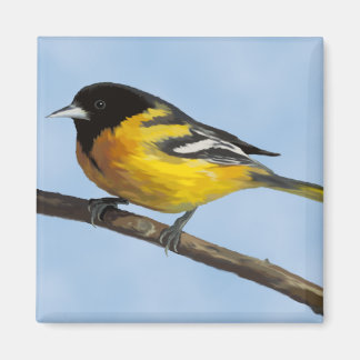 Baltimore Oriole Magnet