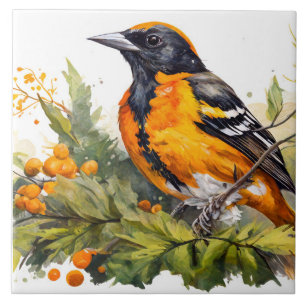 Baltimore Oriole On A Branch of Berries Tile