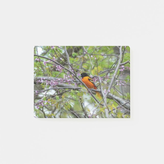 Baltimore Oriole Post-it Notes (Front)