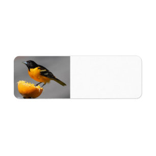 Baltimore Oriole return address labels