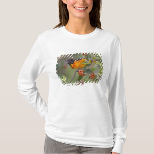 Baltimore Oriole T-Shirt