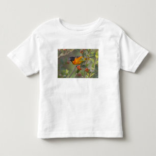 Baltimore Oriole Toddler T-Shirt