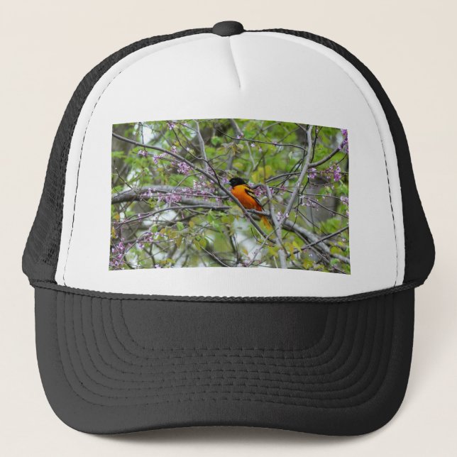 Baltimore Oriole Trucker Hat (Front)