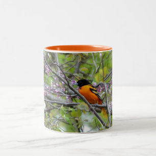 Baltimore Oriole Two-Tone Coffee Mug