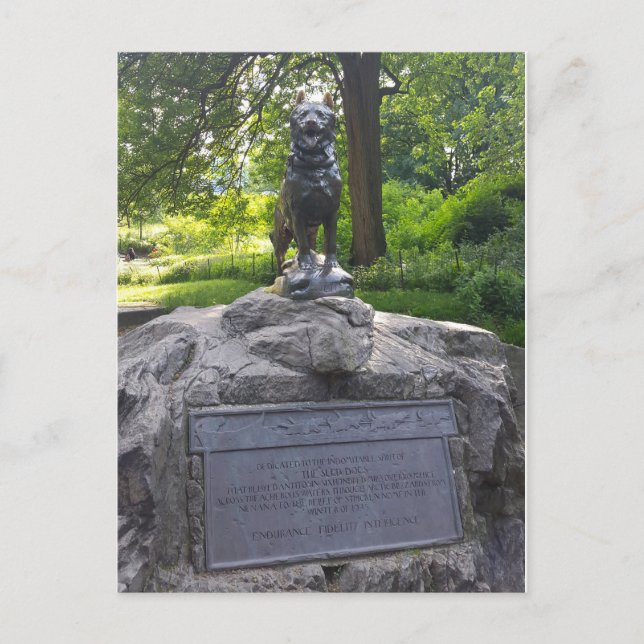 Balto Statue in Central Park Postcard (Front)