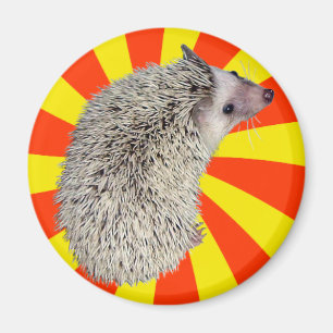 BAM! Hedgehog Magnet 2