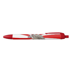 BAM! Hedgehog pen 2