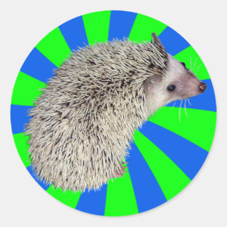 BAM! Hedgehog Stickers 2